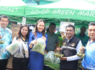 โครงการตลาดเกษตรสีเขียว (Green Market) สหกรณ์การเกษตรสะเดา ... พารามิเตอร์รูปภาพ 11