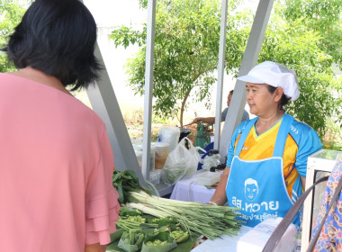 โครงการตลาดเกษตรสีเขียว (Green Market) สหกรณ์การเกษตรสะเดา ... พารามิเตอร์รูปภาพ 24