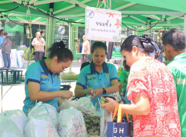 โครงการตลาดเกษตรสีเขียว (Green Market) สหกรณ์การเกษตรสะเดา ... พารามิเตอร์รูปภาพ 29