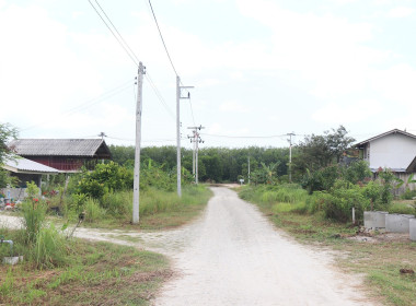 ลงพื้นที่ตรวจเยี่ยมกลุ่มเกษตรกรทำไร่นาสวนผสมปฎิรูปที่ดินสะพานไม้แก่น ... พารามิเตอร์รูปภาพ 14