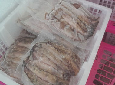 ลงพื้นที่ตรวจเยี่ยมสหกรณ์การเกษตรควนเนียง จำกัด พารามิเตอร์รูปภาพ 4